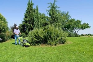 Motocoasa cu fir GRILLO HWT 600 WD