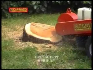 Freza de cioate BCS MTC