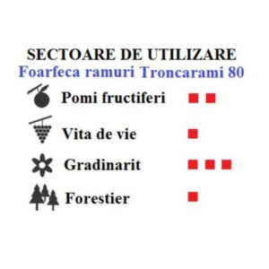 Foarfeca de ramuri Castellari TRONCARAMI 80