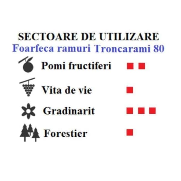 Foarfeca ramuri Tucano V cu bara telescopica Castellari
