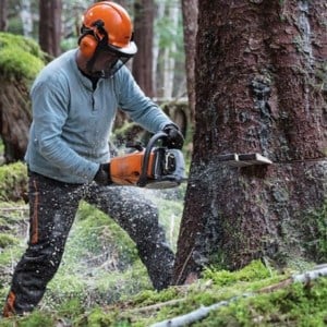 Motoferastrau STIHL MS 462 C-M 50cm 1.6mm 3/8