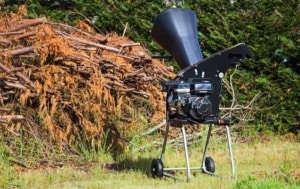 Tocator crengi pe benzina PUBERT IROKO 55P