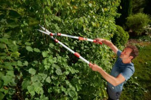 Foarfeca gard viu telescopica WOLF-Garten HS 1000 T: 770-1000mm