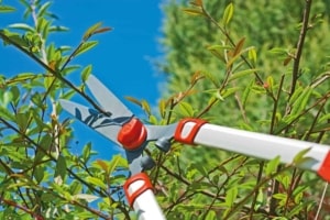 Foarfeca gard viu telescopica WOLF-Garten HS 1000 T: 770-1000mm