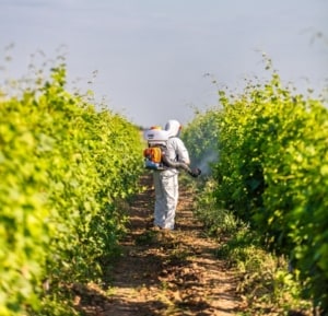 Atomizor O'MAC AT 340 | Travandi.ro