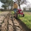 Motocultivator Honda F560K7 TEH