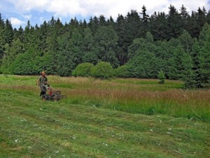 Cositoare DAKR RZS121 cu 2 tamburi