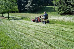 Cositoare cu 4 discuri Dakr DZS125