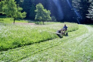 Cositoare cu 4 discuri Dakr DZS125