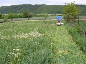 Cositoare cu 4 discuri Dakr DZS125