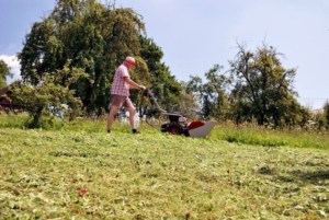 Cositoare cu 4 discuri Dakr DZS125