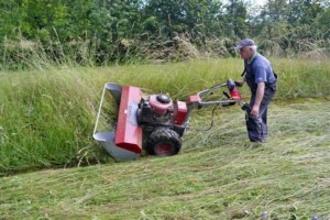 Cositoare cu 4 discuri Dakr DZS125