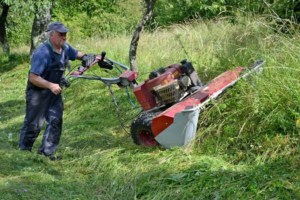 Cositoare cu 4 discuri Dakr DZS125