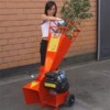Tocator de crengi si resturi vegetale Caravaggi BIO 60, motor electric