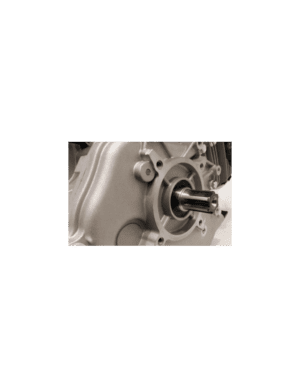 Motor Weima WM 300F/P ax canelat 9.5 CP Diametru 25 mm Lungime ax 32 mm (WM1100D) | Travandi.ro
