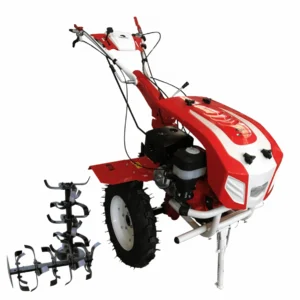 Motocultor BISONTE Agro Garden BTA-16SGE latime lucru 1350 mm adancime 300 mm motor 16 cp DE