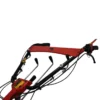 Multifunctional BISONTE Agro Garden BTA-MF360 motor Loncin G200F 6,5 cp