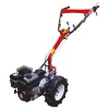 Multifunctional BISONTE Agro Garden BTA-MF360 motor Loncin G200F 6,5 cp
