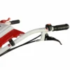 Motocultor BISONTE Agro Garden BTA-750 FR latime lucru 560-830mm adancime 300mm motor 7cp (FR)