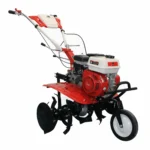 Motocultor BISONTE Agro Garden BTA-750 FR latime lucru 560-830mm adancime 300mm motor 7cp (FR)