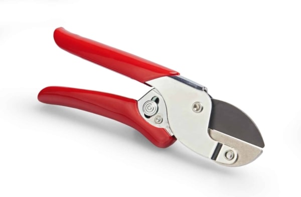 foarfeca de gradina si vie Wolf-Garten RS-EN anvil, latime de lucru 19mm - Image 2