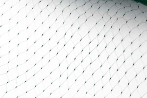 PLASA antiPASARI 2× 50m [20×20]mm verde | Travandi.ro