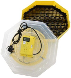 Incubator Electric Cleo-5 cu Termohigrometru si Dispozitiv Intoarcere Oua | Travandi.ro
