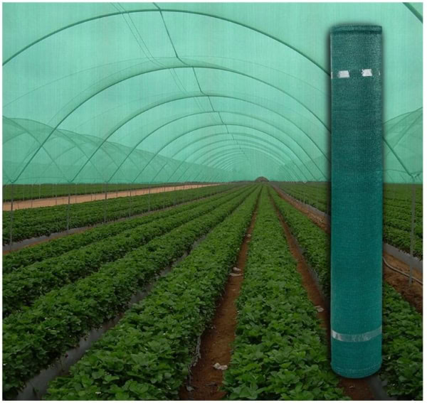 Plasa Umbrire Verde HDPE UV lățime 1.5 m, lungime 10 m, grad de umbrire 35 %, densitate 35 g/mp - Image 4
