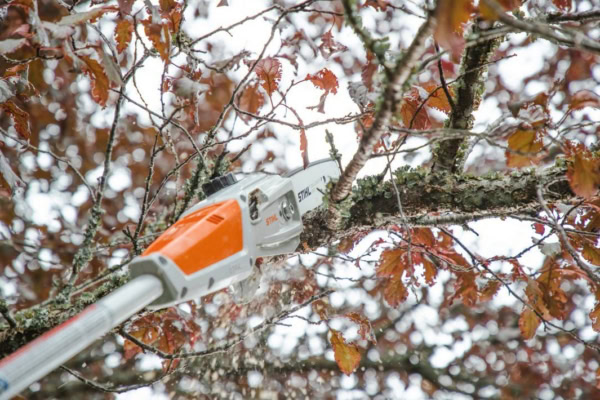 Set emondor de inaltime STIHL HTA 50 cu baterie AK 20 si incarcator AL 101 - Image 7