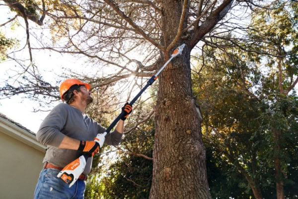 Set emondor de inaltime STIHL HTA 50 cu baterie AK 20 si incarcator AL 101 - Image 5