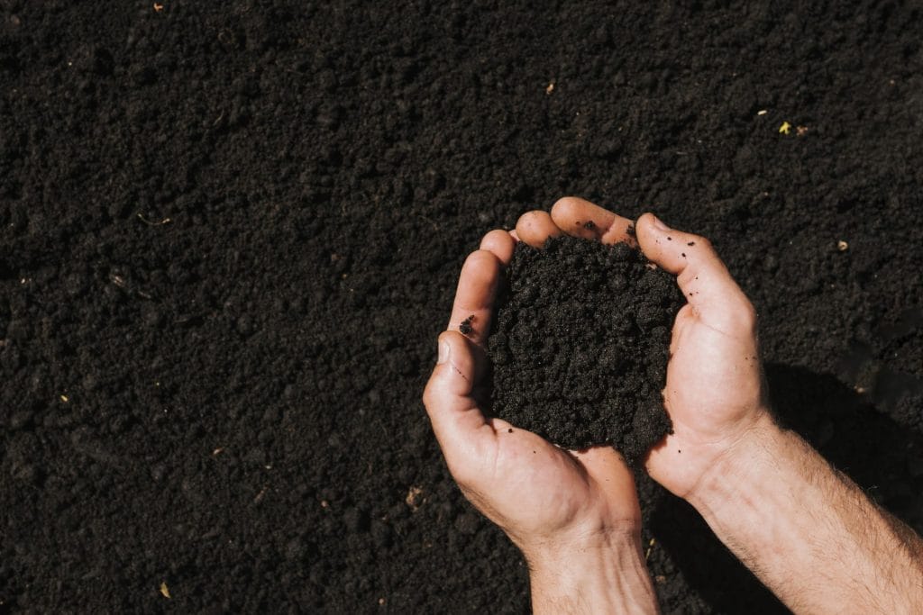 Tipuri de sol - Sfaturi de ingrijire in agricultura | Travandi.ro