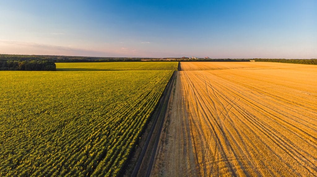 Tipuri de sol - Sfaturi de ingrijire in agricultura | Travandi.ro