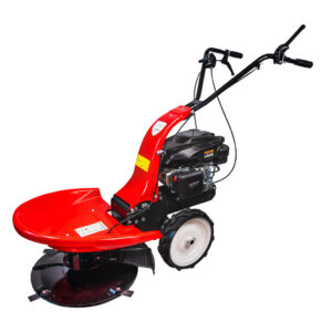 Motocositoare cu disc 60cm 200cc 4cp RD-DM01