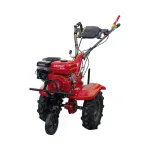 Motocultor ROTAKT Titan RO110RV Benzina 8 CP latime 90 cm + Kit de capotare