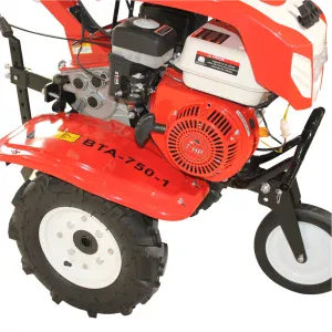 Motocultor BISONTE Agro Garden BTA-750-1 latime de lucru 560 – 830 mm, adancime 300 mm, motor 7cp 13 Motocultor BISONTE Agro Garden BTA-750-1 latime de lucru 560 – 830 mm, adancime 300 mm, motor 7cp | Travandi.ro