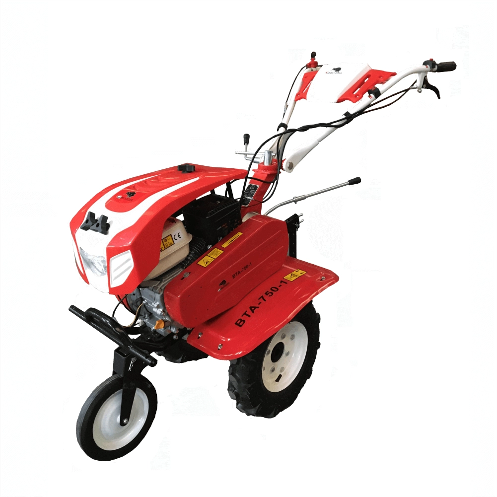 Motocultor BISONTE Agro Garden BTA-750-1 latime de lucru 560 – 830 mm, adancime 300 mm, motor 7cp 10 Motocultor BISONTE Agro Garden BTA-750-1 latime de lucru 560 – 830 mm, adancime 300 mm, motor 7cp - Image 10