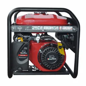Generator de curent benzina BISONTE SK4500 monofazat AVR 3,8 kW | Travandi.ro