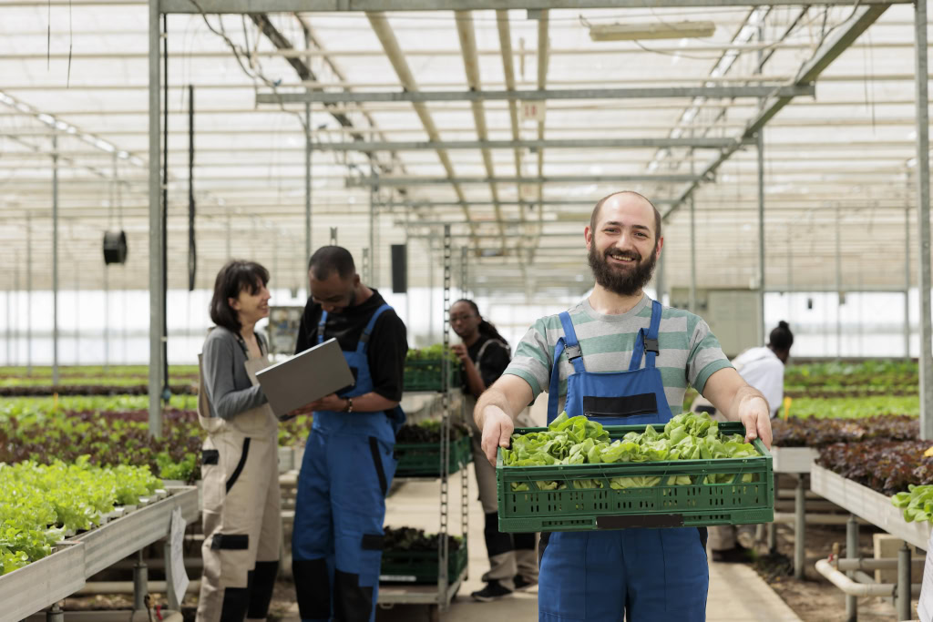 Idei De Afaceri La ar Top Idei Profitabile Travandi ro