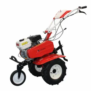 Motocultor BISONTE Agro Garden BTA-900FC latime lucru 560–830mm adancime 300mm motor 7cp (FC) | Travandi.ro