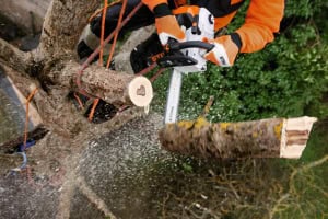 Motoferastrau STIHL MS 201 TC-M benzina 3/8"P P M-Tron 4 Motoferastrau STIHL MS 201 TC-M benzina 3/8"P P M-Tron | Travandi.ro