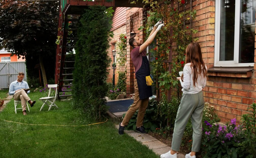 Cum amenajezi fata casei si curtea la tara – Idei practice | Travandi.ro