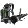Set suflanta electrica tip rucsac Ego Professional LB6000E-K1103, debit maxim 1020 m³/h, cu acumulator 56 V/10.0 Ah si incarcator