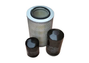 Set Filtre Aer, Ulei, Combustibil pentru YDY35S3