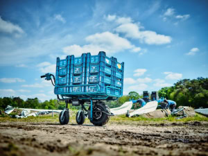 Roaba cu acumulatori LXT 18V MAKITA DCU180Z | Travandi.ro