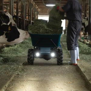 Roaba industriala LXT 18Vx2, cap. 300 kg, bena, livrata fara acumulatori MAKITA DCU605Z | Travandi.ro