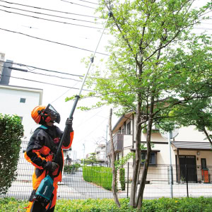 Fierastrau emondor telescopic LXT 18V, 30 cm, fara acumulatori MAKITA DUA301Z | Travandi.ro