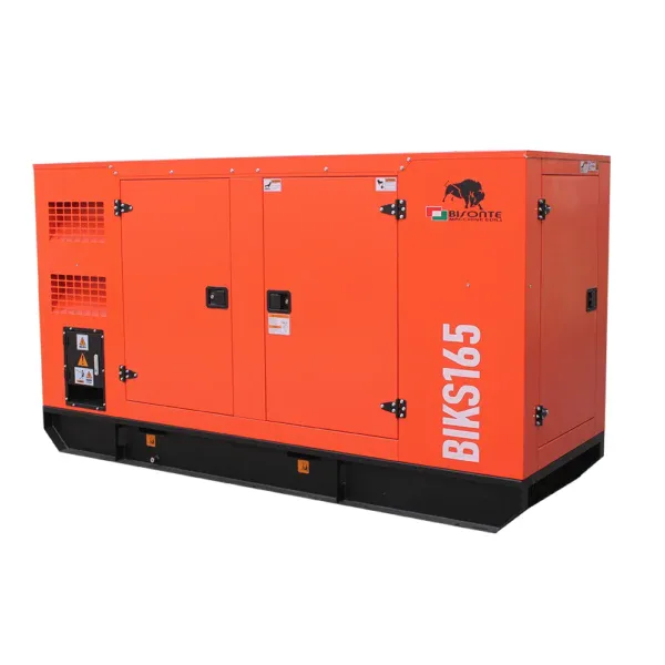 Generator de curent Bisonte BIKS165, insonorizat, Pmax=165kVA 400V ATS inclus - Image 4