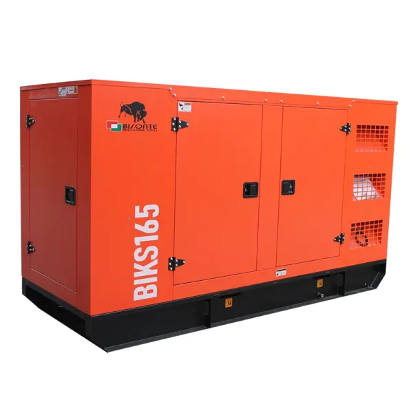 Generator de curent Bisonte BIKS165, insonorizat, Pmax=165kVA 400V ATS inclus - Image 5