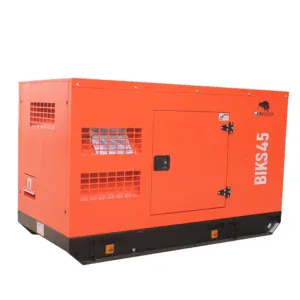 Generator de curent Bisonte BIKS45, insonorizat, Putere maxima 44kVA 400V ATS inclus | Travandi.ro