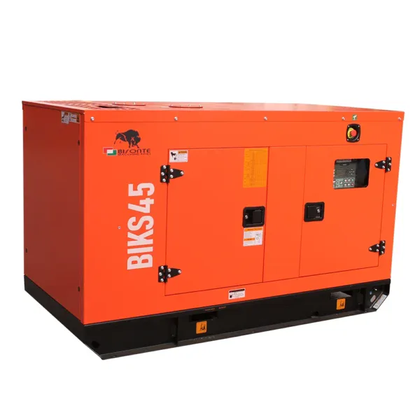 Generator de curent Bisonte BIKS45, insonorizat, Putere maxima 44kVA 400V ATS inclus - Image 5